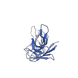 23708_7m74_H_v1-1
ATP-bound AMP-activated protein kinase