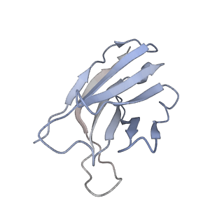 23708_7m74_N_v1-1
ATP-bound AMP-activated protein kinase