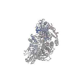 23713_7m7h_B_v1-0
6-Deoxyerythronolide B synthase (DEBS) module 1 in complex with antibody fragment 1B2: State 1'