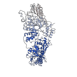 23714_7m7i_B_v1-1
6-Deoxyerythronolide B synthase (DEBS) module 1 in complex with antibody fragment 1B2 (TE-free)