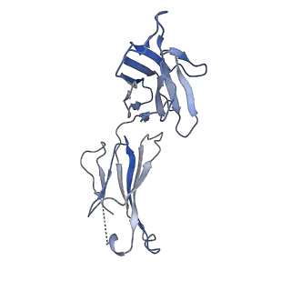 23714_7m7i_D_v1-1
6-Deoxyerythronolide B synthase (DEBS) module 1 in complex with antibody fragment 1B2 (TE-free)