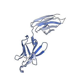 23714_7m7i_E_v1-1
6-Deoxyerythronolide B synthase (DEBS) module 1 in complex with antibody fragment 1B2 (TE-free)