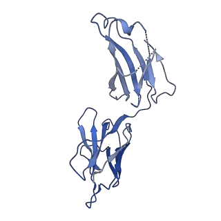23714_7m7i_F_v1-0
6-Deoxyerythronolide B synthase (DEBS) module 1 in complex with antibody fragment 1B2 (TE-free)