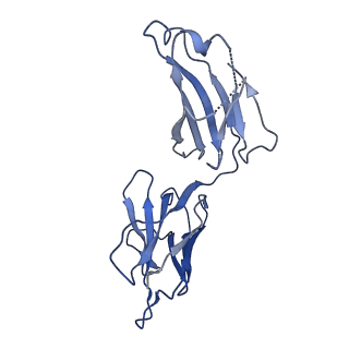 23714_7m7i_F_v1-1
6-Deoxyerythronolide B synthase (DEBS) module 1 in complex with antibody fragment 1B2 (TE-free)