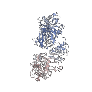 23715_7m7j_B_v1-0
6-Deoxyerythronolide B synthase (DEBS) module 1 in complex with antibody fragment 1B2: "turnstile closed" state (TE-free)