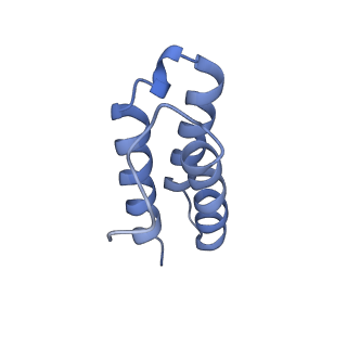 30127_6m71_C_v1-2
SARS-Cov-2 RNA-dependent RNA polymerase in complex with cofactors