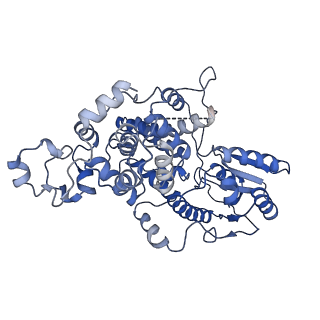 30128_6m79_A_v1-1
Cryo-EM structure of Arabidopsis CRY under blue light-mediated activation