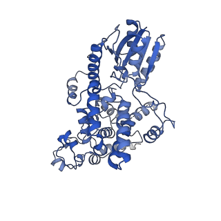 30128_6m79_B_v1-1
Cryo-EM structure of Arabidopsis CRY under blue light-mediated activation