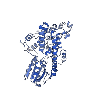 30128_6m79_D_v1-1
Cryo-EM structure of Arabidopsis CRY under blue light-mediated activation