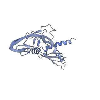 9047_6m7j_A_v1-3
Mycobacterium tuberculosis RNAP with RbpA/us fork and Corallopyronin