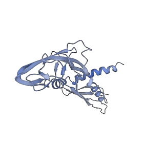 9047_6m7j_A_v1-4
Mycobacterium tuberculosis RNAP with RbpA/us fork and Corallopyronin