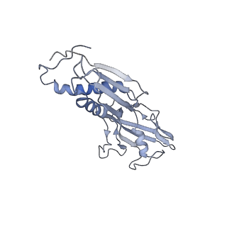 9047_6m7j_B_v1-3
Mycobacterium tuberculosis RNAP with RbpA/us fork and Corallopyronin