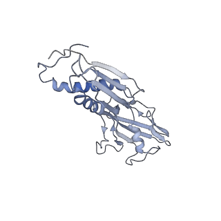 9047_6m7j_B_v1-4
Mycobacterium tuberculosis RNAP with RbpA/us fork and Corallopyronin