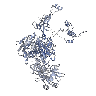 9047_6m7j_C_v1-3
Mycobacterium tuberculosis RNAP with RbpA/us fork and Corallopyronin