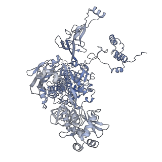 9047_6m7j_C_v1-4
Mycobacterium tuberculosis RNAP with RbpA/us fork and Corallopyronin