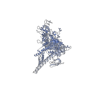 9047_6m7j_D_v1-3
Mycobacterium tuberculosis RNAP with RbpA/us fork and Corallopyronin