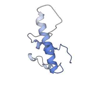 9047_6m7j_E_v1-3
Mycobacterium tuberculosis RNAP with RbpA/us fork and Corallopyronin