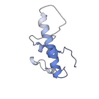 9047_6m7j_E_v1-4
Mycobacterium tuberculosis RNAP with RbpA/us fork and Corallopyronin