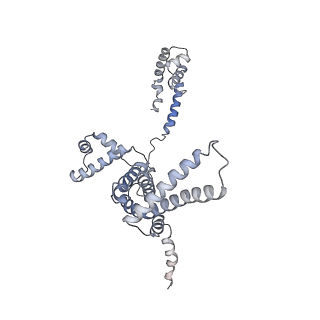 9047_6m7j_F_v1-3
Mycobacterium tuberculosis RNAP with RbpA/us fork and Corallopyronin