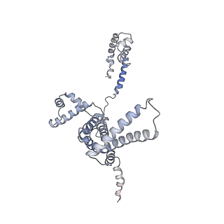 9047_6m7j_F_v1-4
Mycobacterium tuberculosis RNAP with RbpA/us fork and Corallopyronin