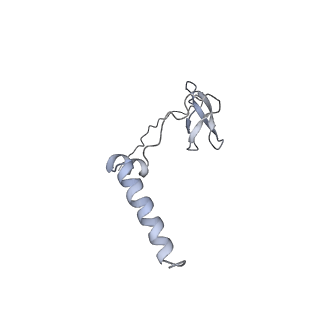 9047_6m7j_J_v1-3
Mycobacterium tuberculosis RNAP with RbpA/us fork and Corallopyronin