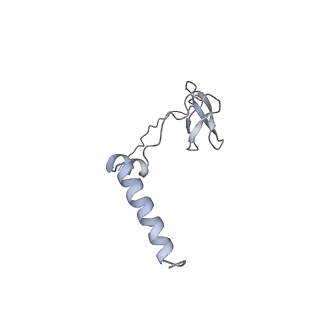 9047_6m7j_J_v1-4
Mycobacterium tuberculosis RNAP with RbpA/us fork and Corallopyronin