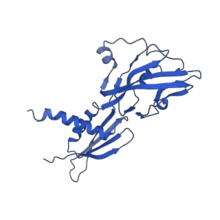 23716_7m8e_A_v1-2
E.coli RNAP-RapA elongation complex