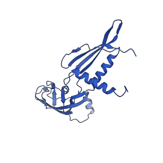 23716_7m8e_B_v1-2
E.coli RNAP-RapA elongation complex
