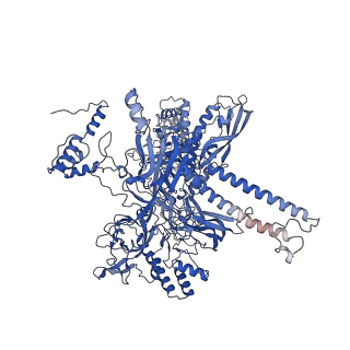 23716_7m8e_C_v1-2
E.coli RNAP-RapA elongation complex