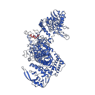 23716_7m8e_D_v1-2
E.coli RNAP-RapA elongation complex