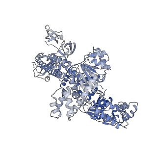 23716_7m8e_F_v1-2
E.coli RNAP-RapA elongation complex