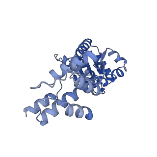23721_7m9a_C_v1-1
ADP-AlF3 bound TnsC structure from ShCAST system