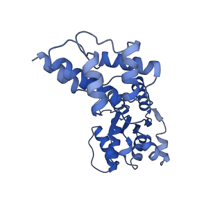 23721_7m9a_D_v1-1
ADP-AlF3 bound TnsC structure from ShCAST system