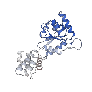 23721_7m9a_G_v1-1
ADP-AlF3 bound TnsC structure from ShCAST system