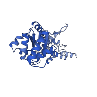 23721_7m9a_I_v1-1
ADP-AlF3 bound TnsC structure from ShCAST system