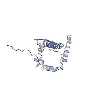 9062_6mar_B_v1-1
HIV-1 Envelope Glycoprotein Clone BG505 delCT N332T in complex with broadly neutralizing antibody Fab PGT151
