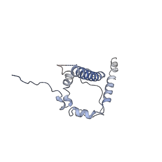 9062_6mar_B_v2-0
HIV-1 Envelope Glycoprotein Clone BG505 delCT N332T in complex with broadly neutralizing antibody Fab PGT151