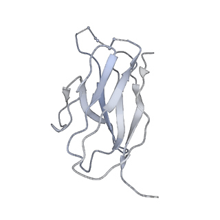 9062_6mar_L_v1-1
HIV-1 Envelope Glycoprotein Clone BG505 delCT N332T in complex with broadly neutralizing antibody Fab PGT151