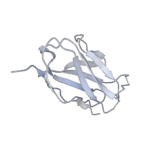 9062_6mar_N_v1-1
HIV-1 Envelope Glycoprotein Clone BG505 delCT N332T in complex with broadly neutralizing antibody Fab PGT151