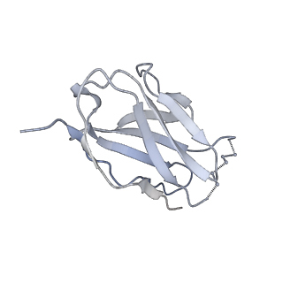 9062_6mar_N_v2-0
HIV-1 Envelope Glycoprotein Clone BG505 delCT N332T in complex with broadly neutralizing antibody Fab PGT151