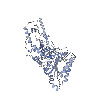 9063_6mat_A_v1-3
Cryo-EM structure of the essential ribosome assembly AAA-ATPase Rix7