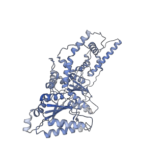 9063_6mat_B_v1-3
Cryo-EM structure of the essential ribosome assembly AAA-ATPase Rix7