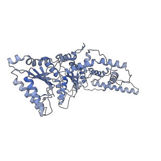 9063_6mat_C_v1-3
Cryo-EM structure of the essential ribosome assembly AAA-ATPase Rix7