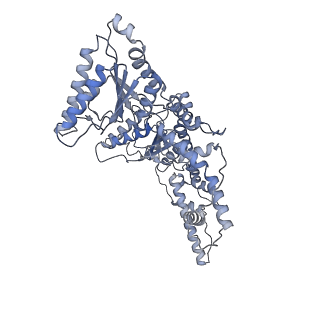 9063_6mat_D_v1-3
Cryo-EM structure of the essential ribosome assembly AAA-ATPase Rix7