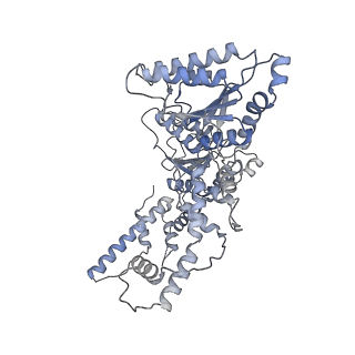 9063_6mat_E_v1-3
Cryo-EM structure of the essential ribosome assembly AAA-ATPase Rix7