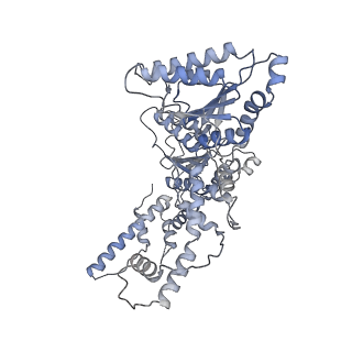 9063_6mat_E_v1-4
Cryo-EM structure of the essential ribosome assembly AAA-ATPase Rix7