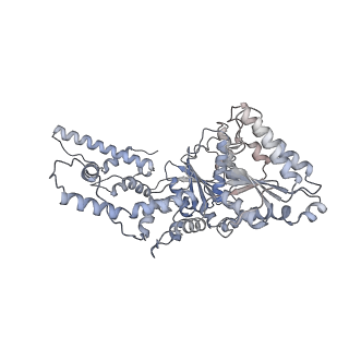 9063_6mat_F_v1-3
Cryo-EM structure of the essential ribosome assembly AAA-ATPase Rix7