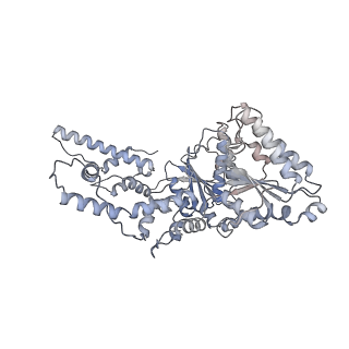 9063_6mat_F_v1-4
Cryo-EM structure of the essential ribosome assembly AAA-ATPase Rix7