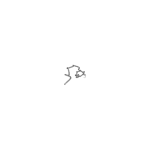 9063_6mat_G_v1-4
Cryo-EM structure of the essential ribosome assembly AAA-ATPase Rix7