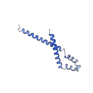 3460_5mbv_A_v1-3
Cryo-EM structure of Lambda Phage protein GamS bound to RecBCD.